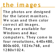 The photos, available in 4 resolutions