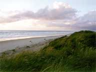 Beach Dunes Sunset