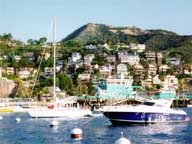 Catalina Island View