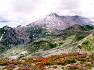 Mt. St. Helens