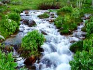 Rushing Mountain Stream