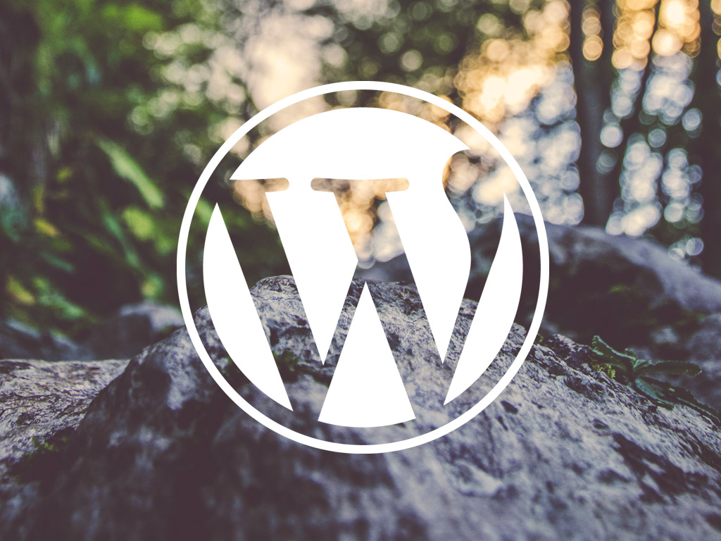 Best WordPress Plugins